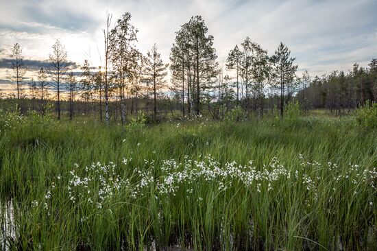 Russia Regions Karelia