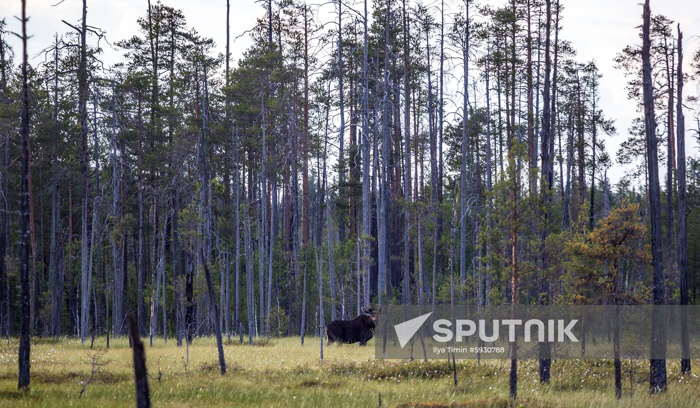 Russia Regions Karelia