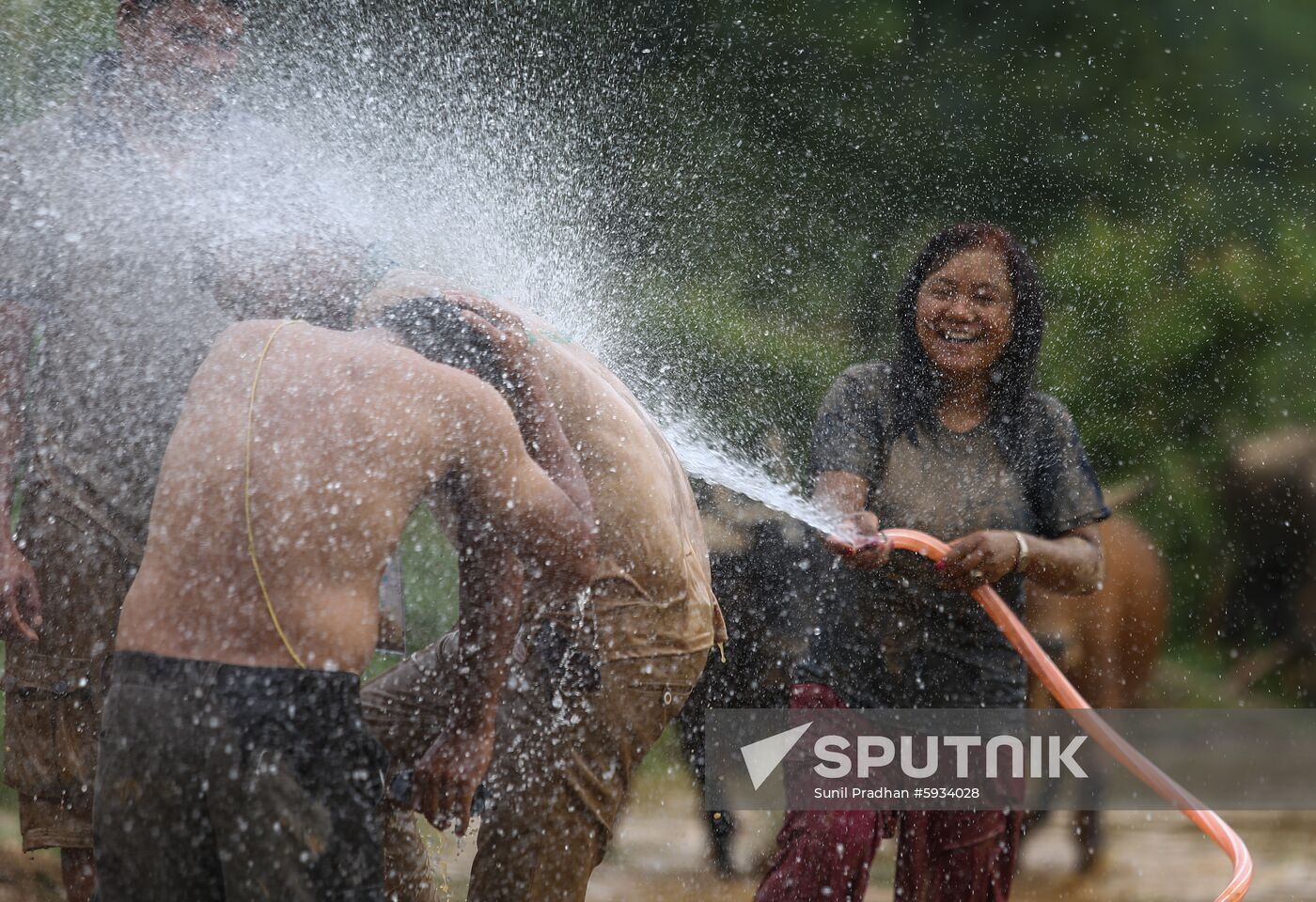 Nepal National Paddy Day