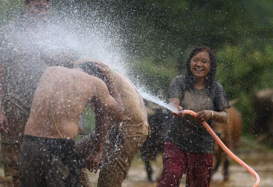 Nepal National Paddy Day