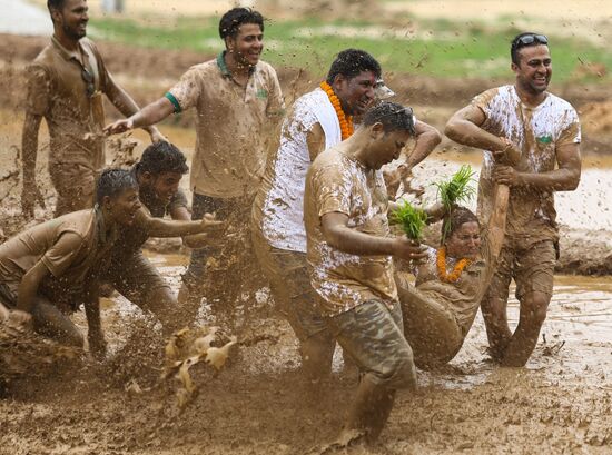 Nepal National Paddy Day