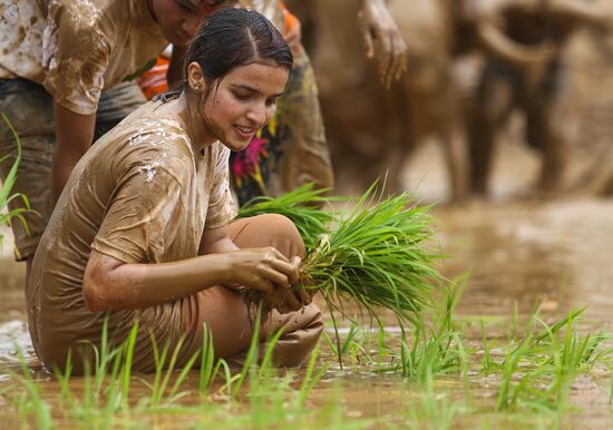 Nepal National Paddy Day