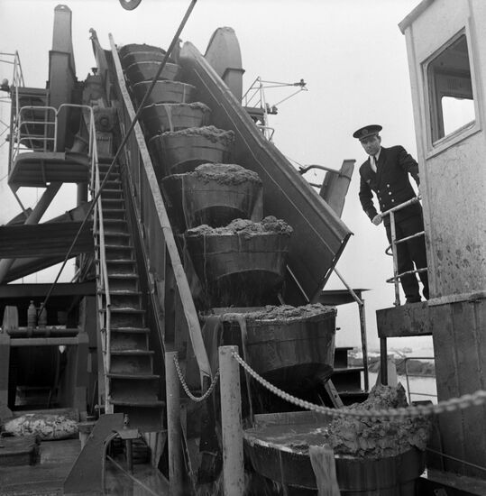 Cleaning water of Moskva River