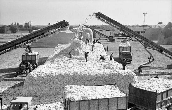 Abai cotton stacking center
