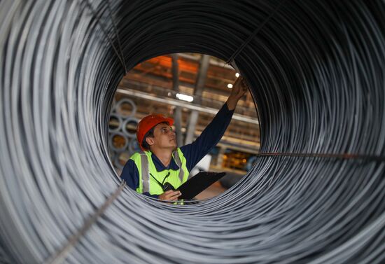Russia Electrometallurgical Plant