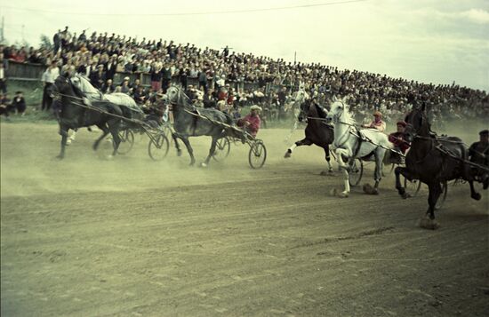 Orlov Trotters from Perm Breeding Horse Ranch No. 9