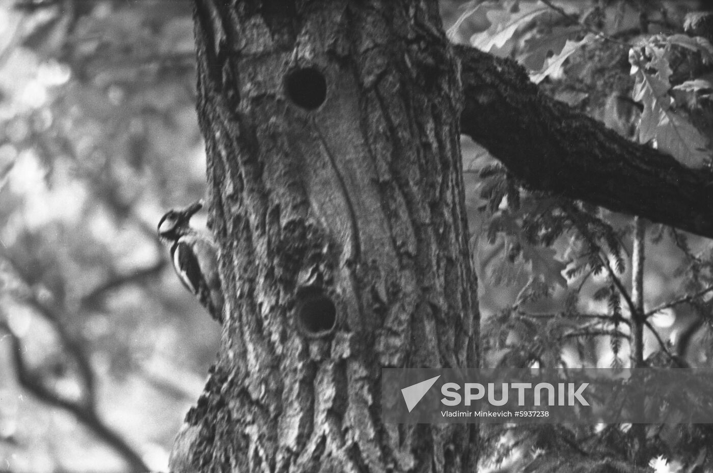 Lebyazhyi Ostrova (Swan Islands) nature reserve in Crimea