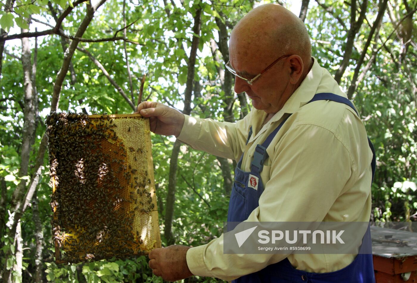 Ukraine DPR Apiary