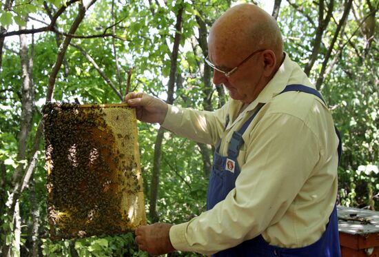 Ukraine DPR Apiary