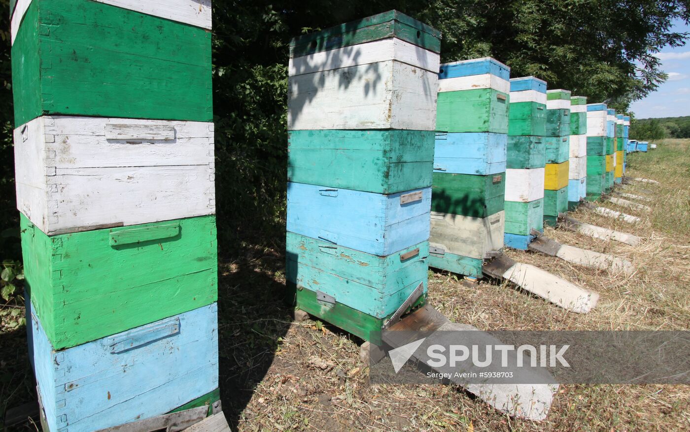 Ukraine DPR Apiary