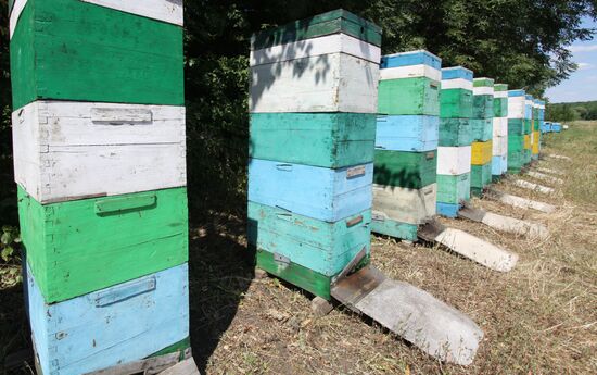 Ukraine DPR Apiary
