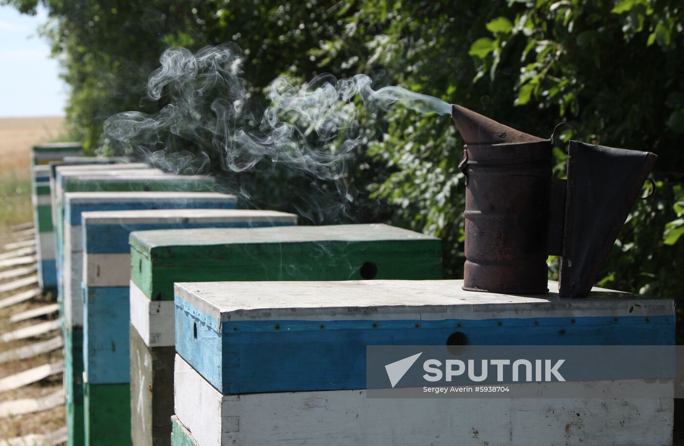 Ukraine DPR Apiary