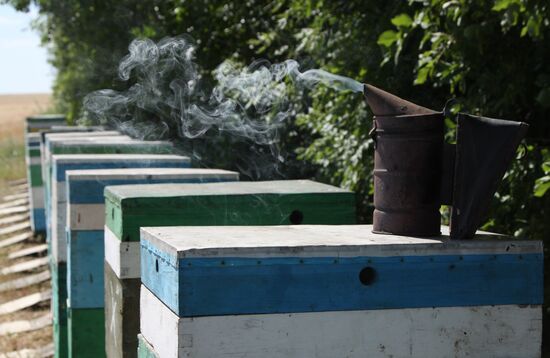 Ukraine DPR Apiary