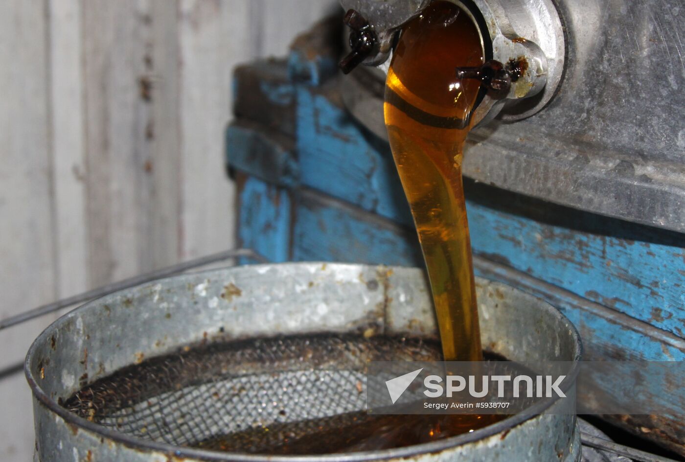 Ukraine DPR Apiary