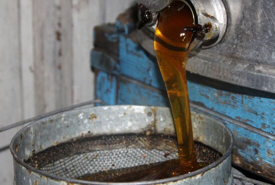 Ukraine DPR Apiary