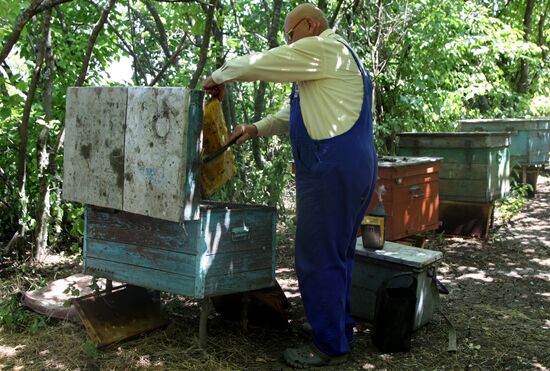 Ukraine DPR Apiary