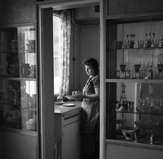 Engineer and doctor of architecture Yevgeny Kavin
