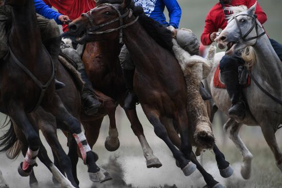 Russia Kok Boru Championship