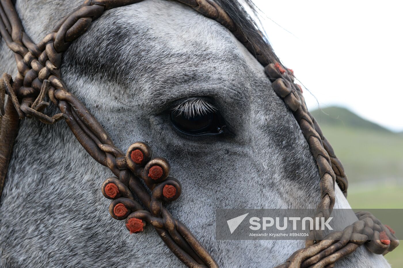 Russia Kok Boru Championship