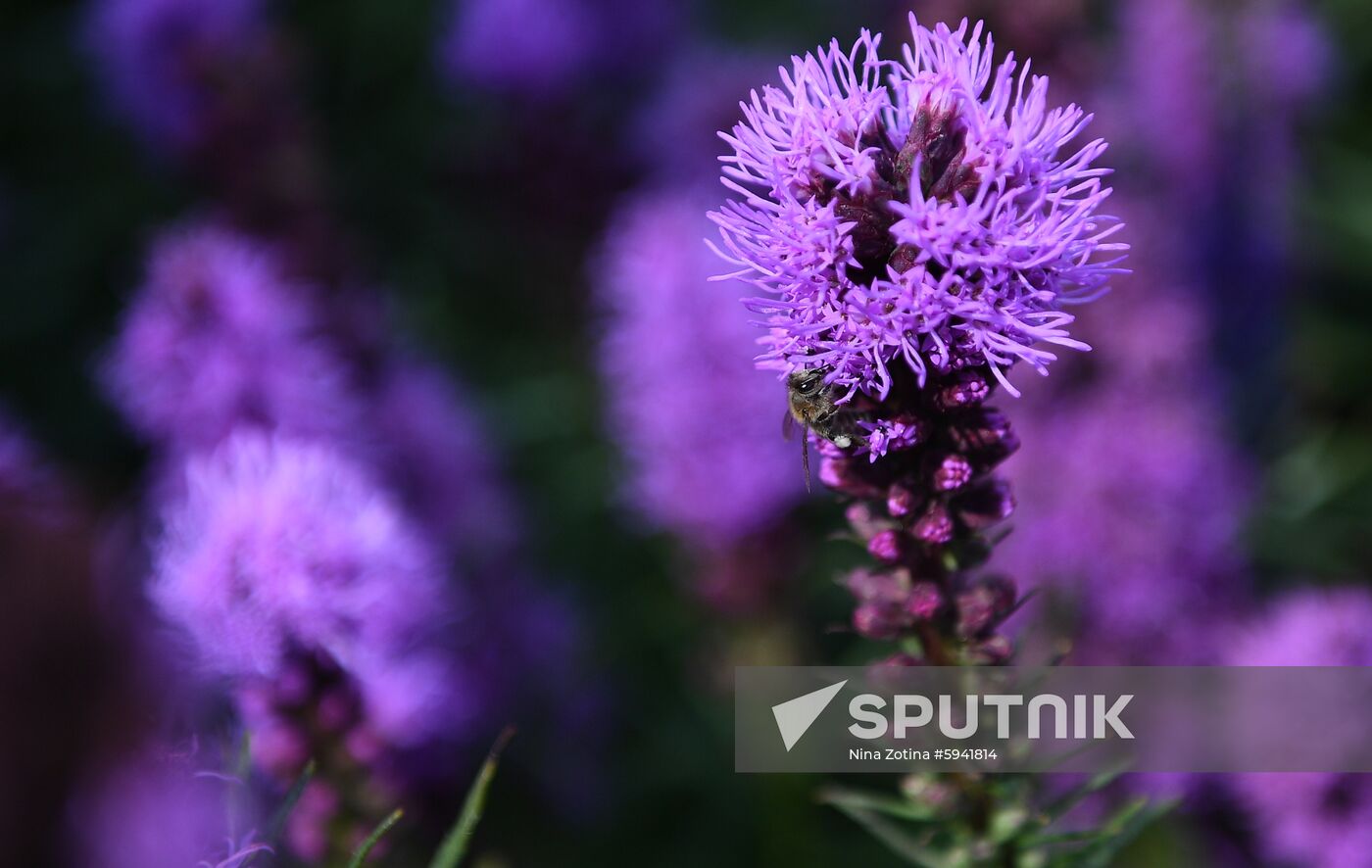 Russia Moscow Flower Show