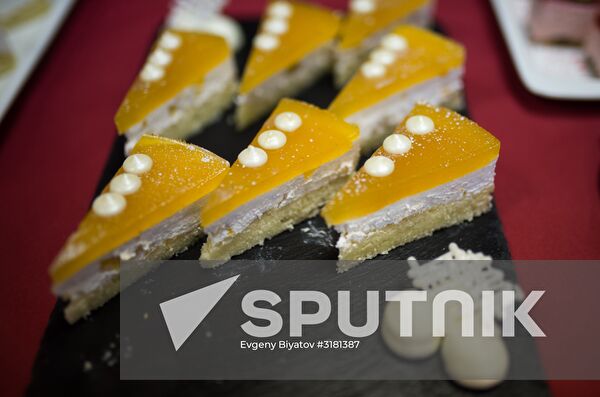 Uniform Catering System for Sapsan high-speed trains
