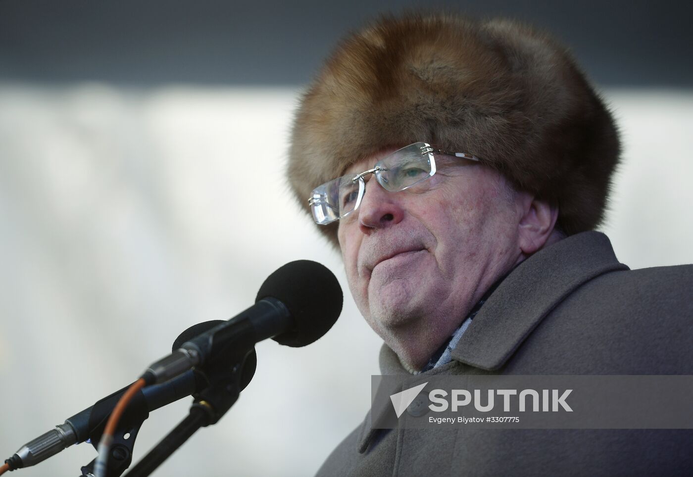 Liberal Democratic Party rally | Sputnik Mediabank