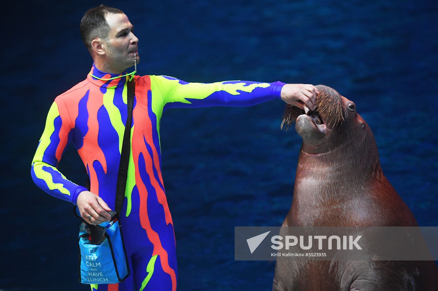 a-midsummer-night-s-dream-musical-premieres-at-moskvarium-sputnik