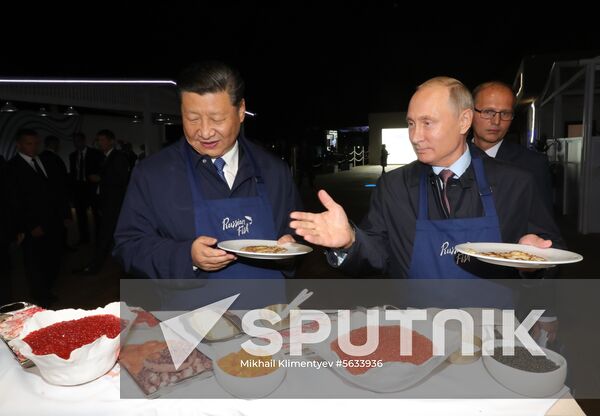 President Putin's working trip to Far Eastern Federal District. Day two