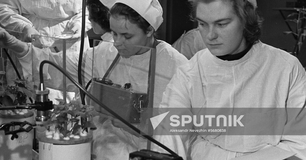 Moscow Timiryazev Agricultural Academy | Sputnik Mediabank