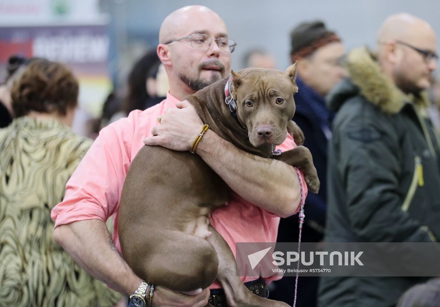 Russian pitbulls hotsell