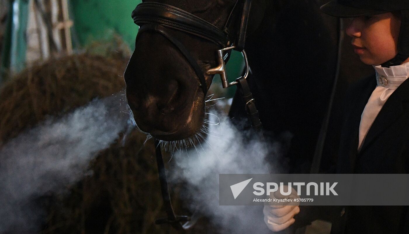 Russia Horse Riding | Sputnik Mediabank