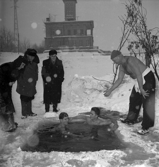 Muscovites