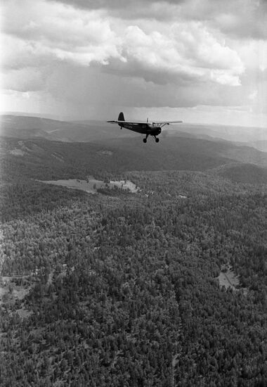 Aerial fire protection