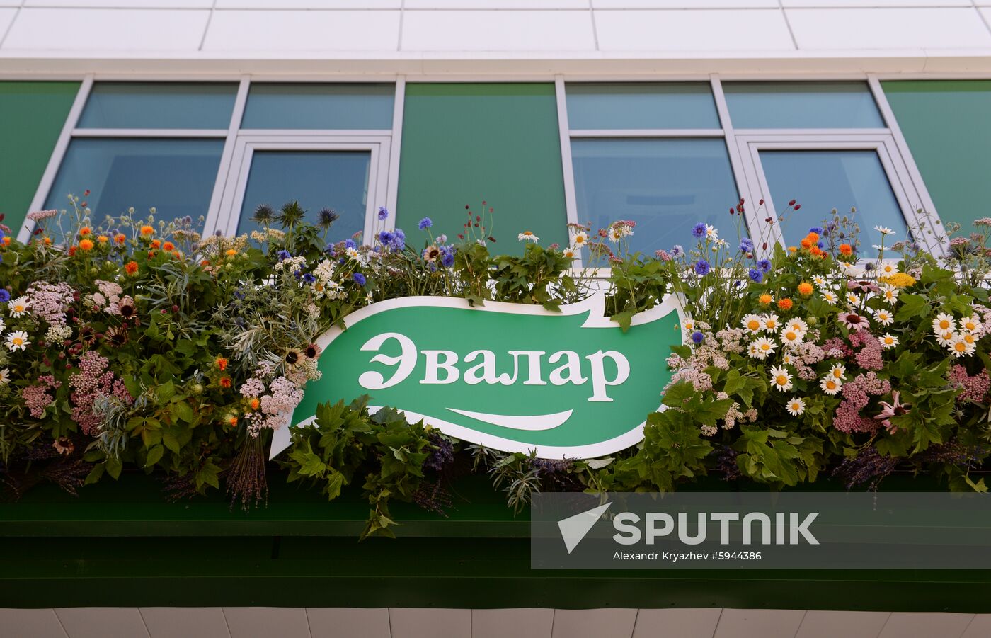 Russia Pharmaceutical Factory