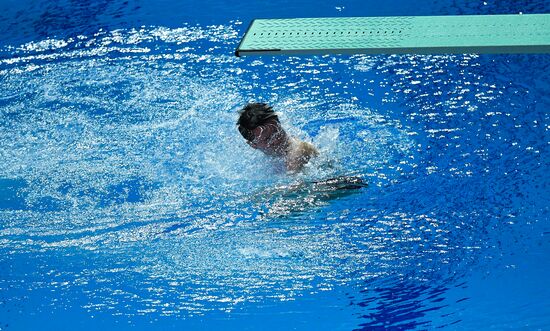 South Korea Aquatics Worlds Springboard Women