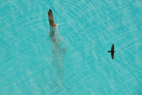 Russia Siberian Maldives