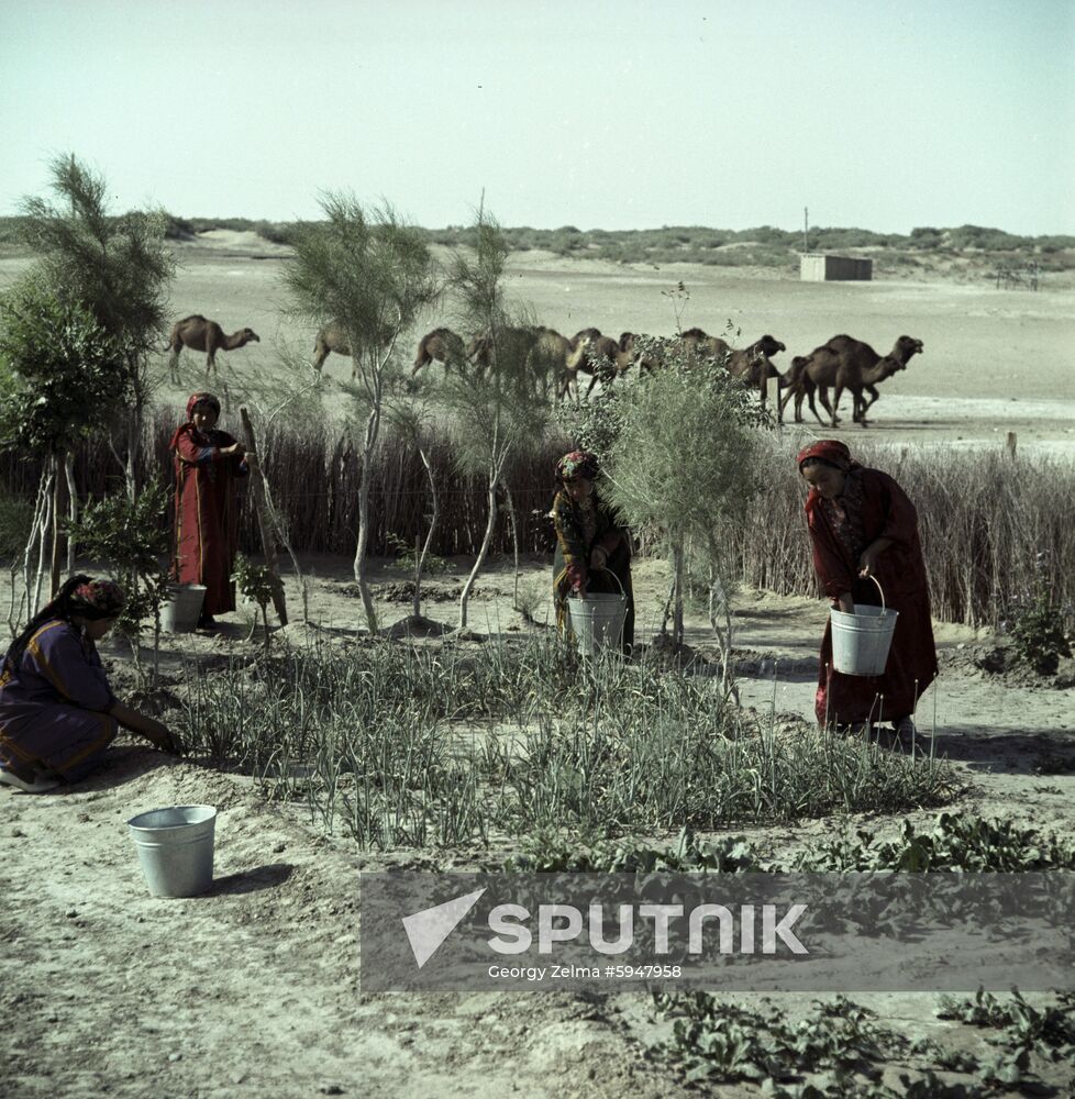 Turkmen SSR