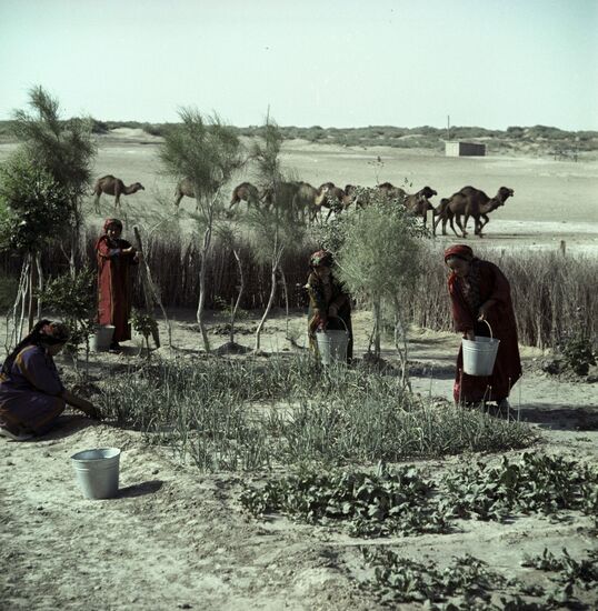 Turkmen SSR