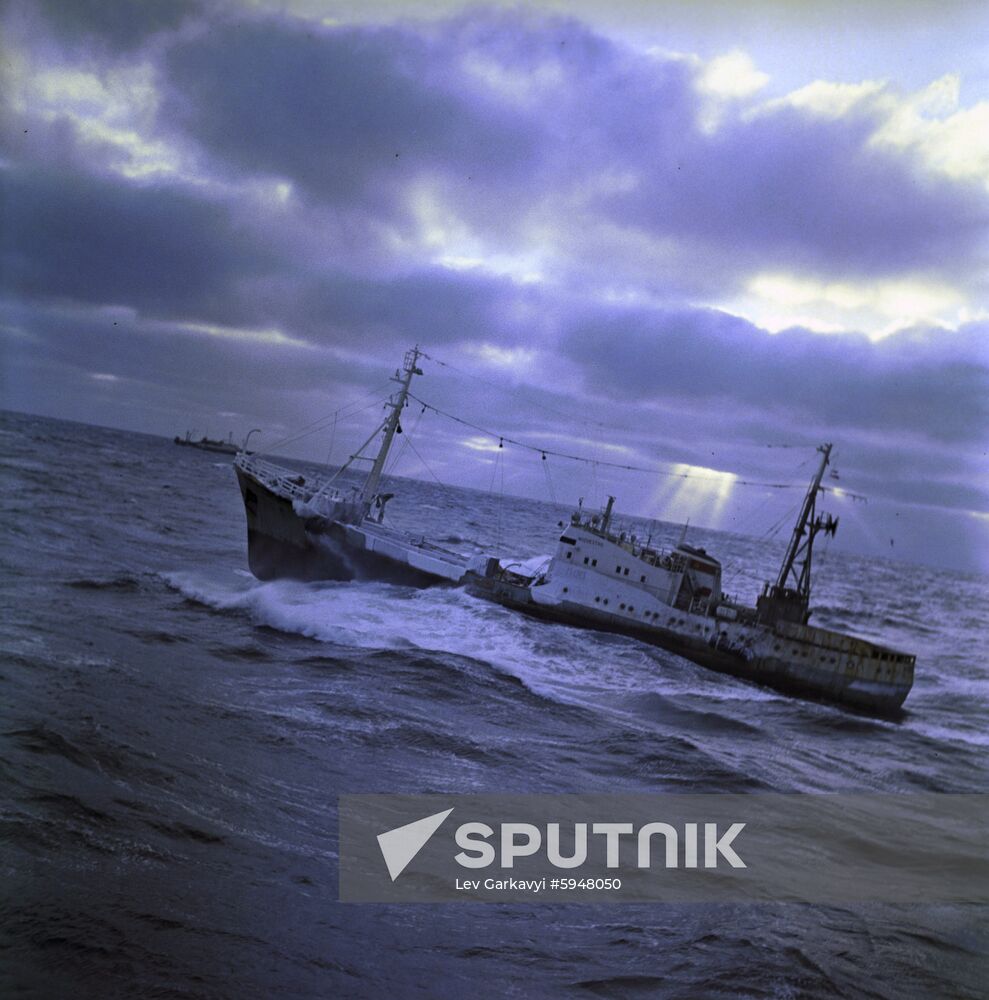 Herring fishing in Sea of Okhotsk
