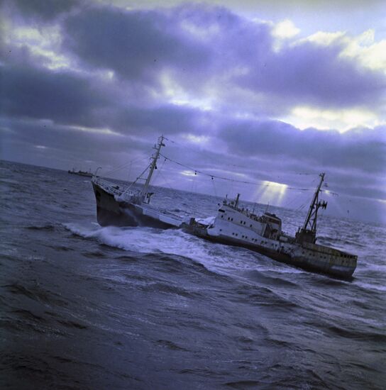 Herring fishing in Sea of Okhotsk