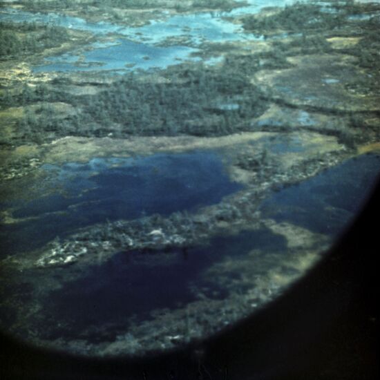 Tyumen oil