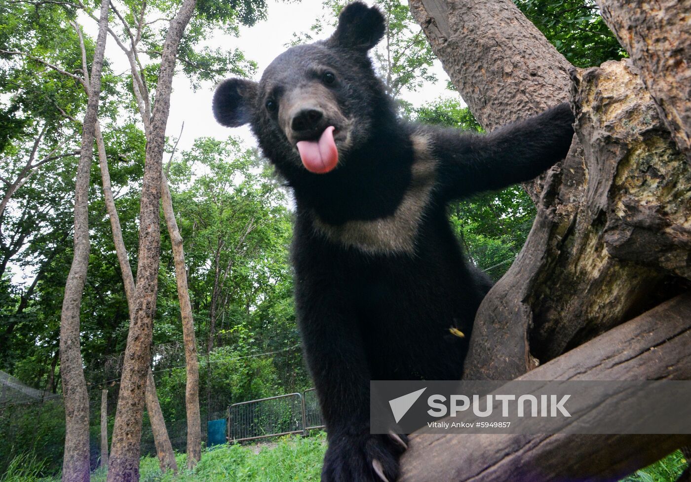 Russia Safari Park
