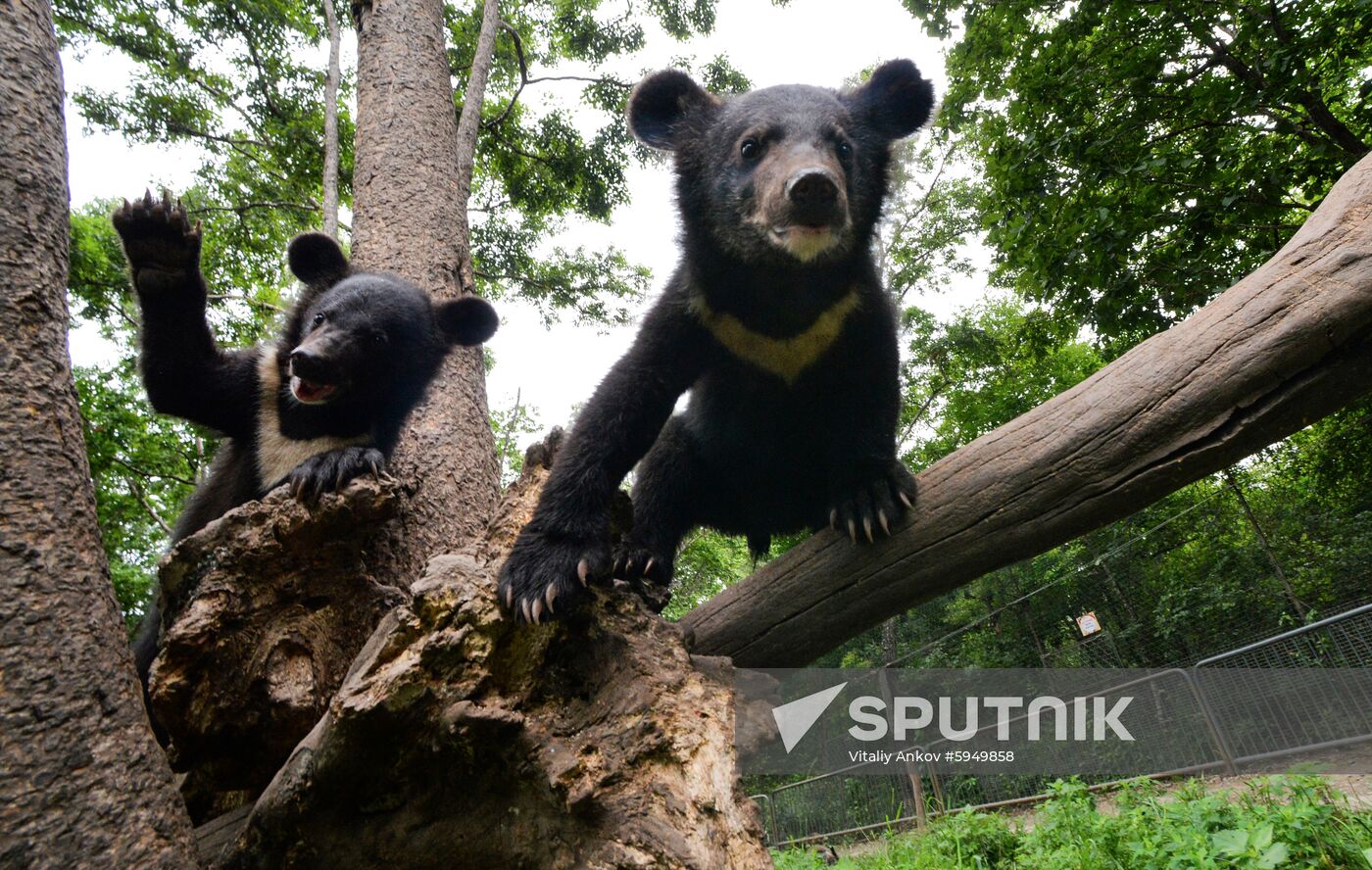 Russia Safari Park