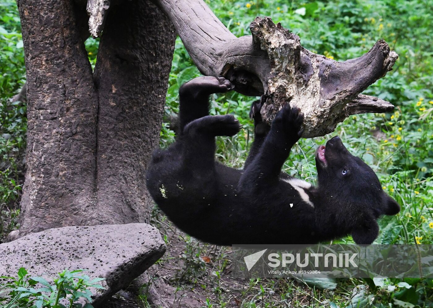 Russia Safari Park