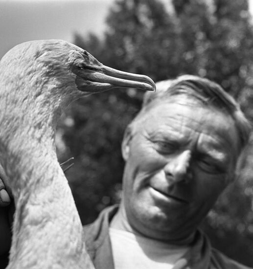 Astrakhan nature reserve