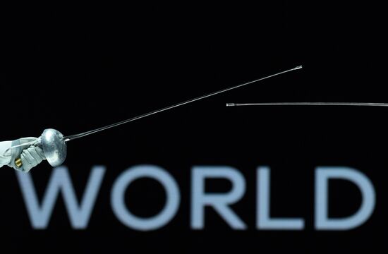 Hungary Fencing Worlds