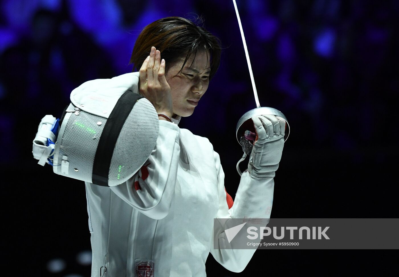 Hungary Fencing Worlds