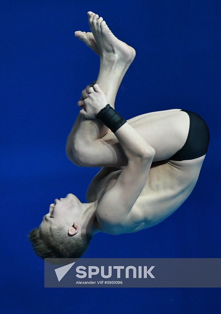 South Korea Aquatics Worlds Platform Men