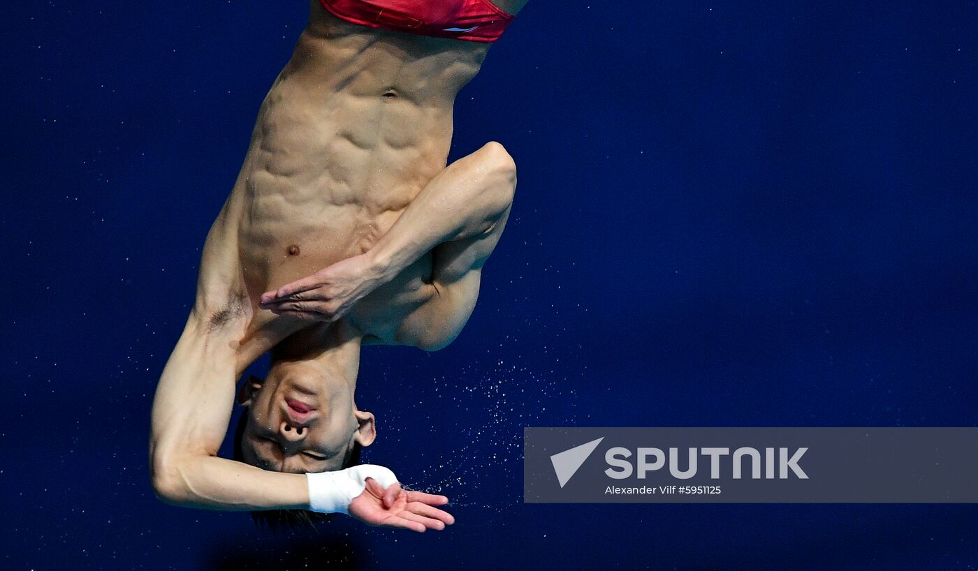 South Korea Aquatics Worlds Platform Men