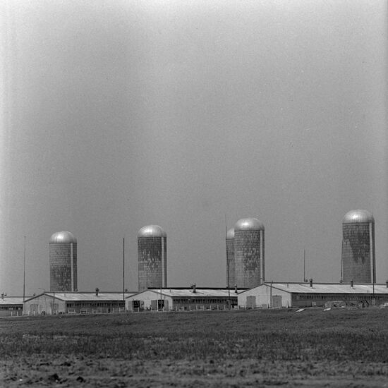 Oktyabrsky state farm